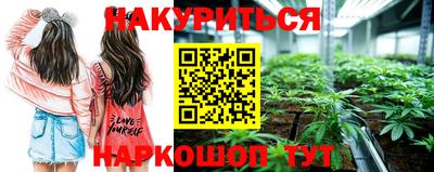 спайс Обь