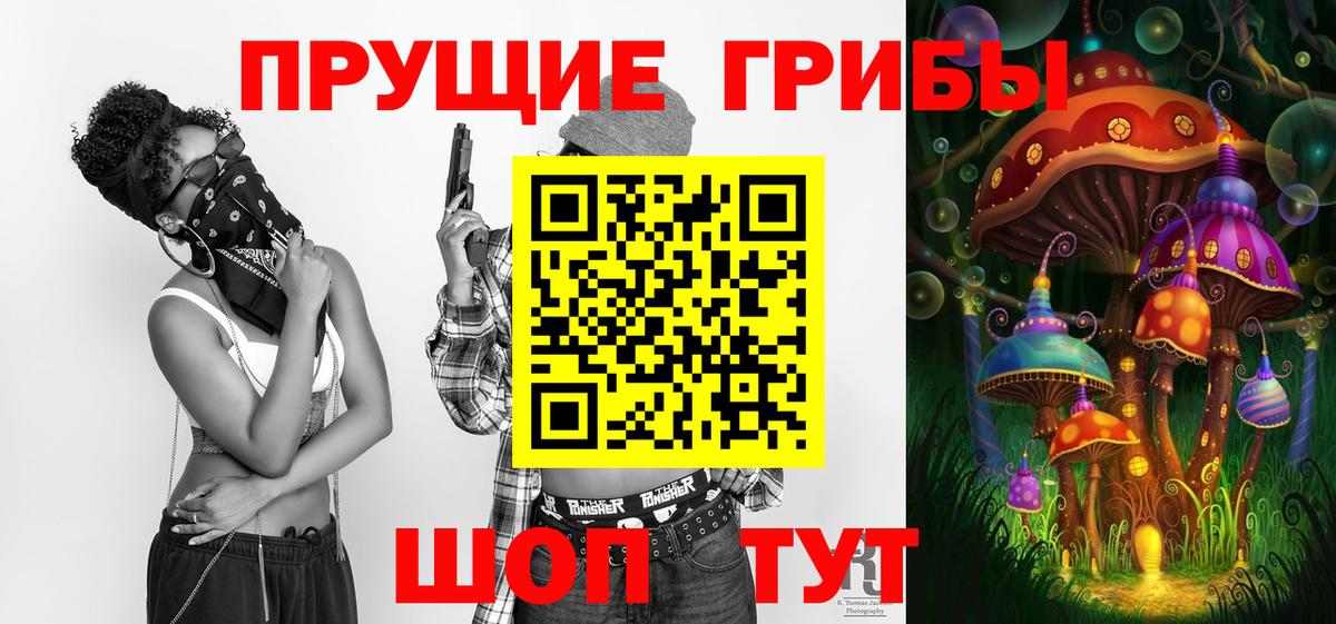 Псилоцибиновые грибы Psilocybine cubensis Ялта