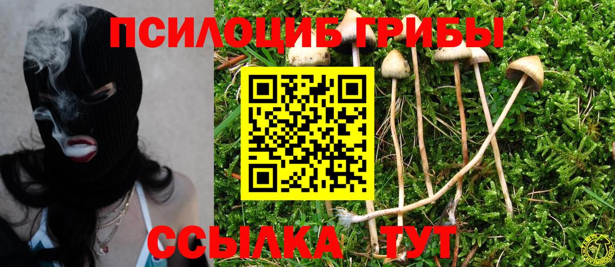 Ялта  Галлюциногенные грибы прущие грибы  Вход с VPN 